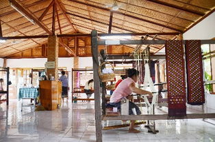 国际 1 探访老挝手工纺织厂